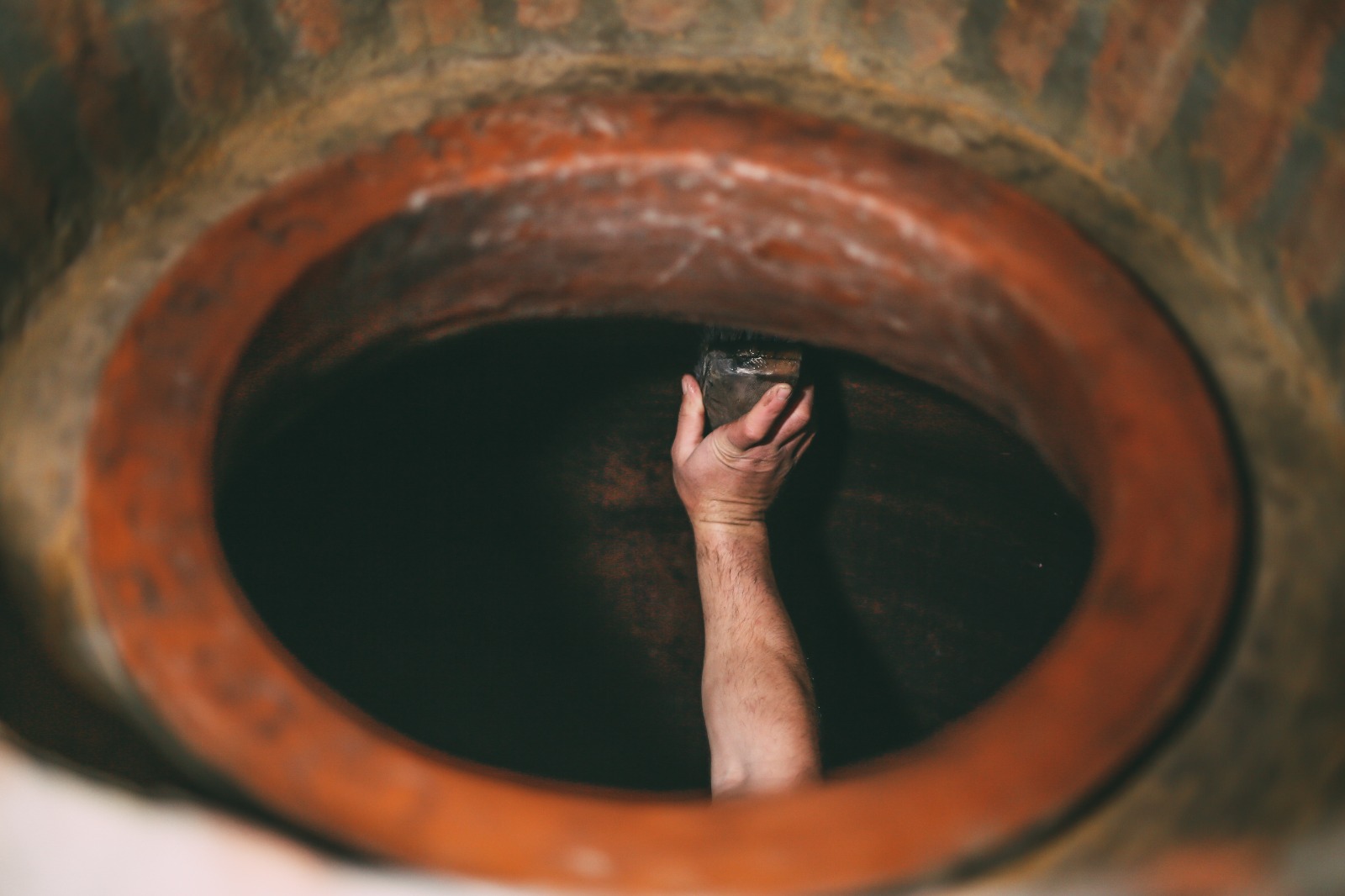 ძველი ვაზი და ტრადიციული ჯიშები